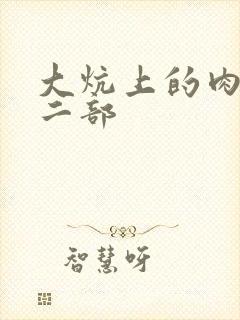 大炕上的肉伦第二部