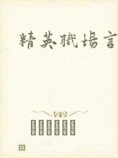 精英职场言情文
