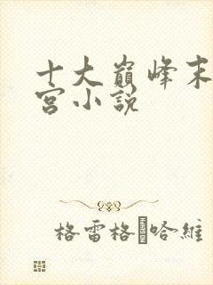 十大巅峰末世后宫小说