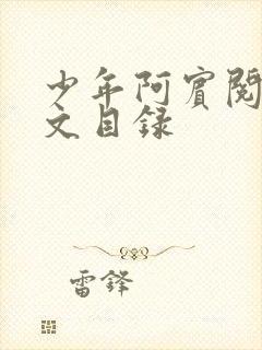 少年阿宾阅读全文目录