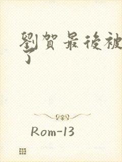 刘贺最后被谁杀了