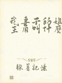 我妻子的姐姐女主角叫什么封面