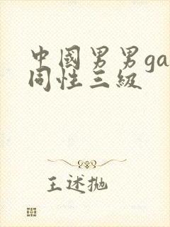 中国男男gay同性三级