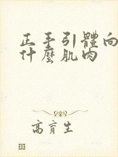 正手引体向上练什么肌肉封面