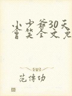 小少爷30天后会笑全文免费阅读封面