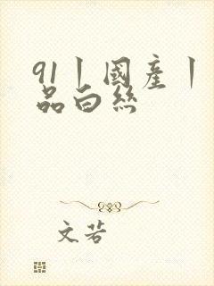91丨国产丨精品白丝封面