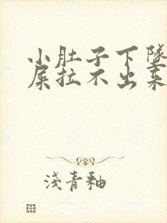 小肚子下坠想拉屎拉不出来怎么回事