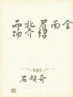 面北眉南金枝人物介绍