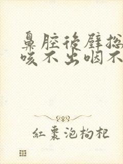 鼻腔后壁总有痰咳不出咽不下