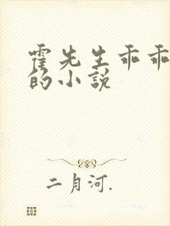 霍先生乖乖宠我的小说