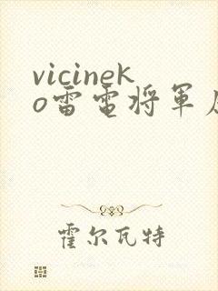 vicineko雷电将军原神同人