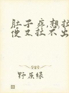 肚子疼,想拉大便又拉不出来是什么原因