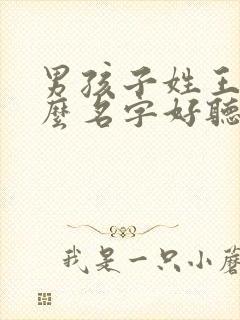 男孩子姓王取什么名字好听有内涵