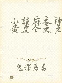 小说麻衣神婿陈黄皮全文免费阅读