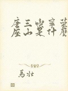 唐三吃宁荣荣两座山是什么封面