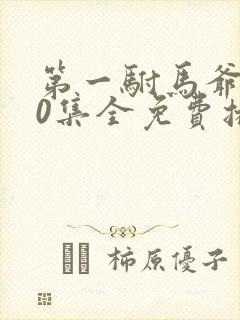 第一驸马爷100集全免费播放封面