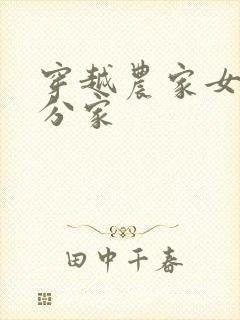 穿越农家女种田分家