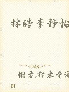 林皓李静怡小说封面