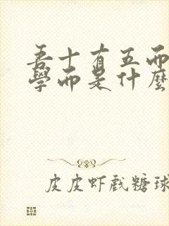 吾十有五而志于学而是什么意思封面