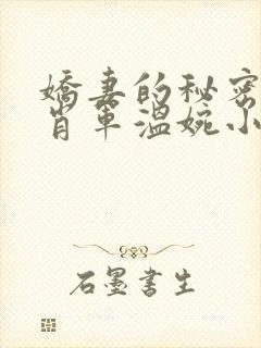 娇妻的秘密白柔肖军温婉小说结局