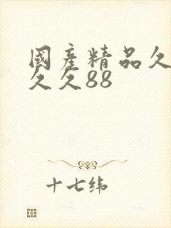 国产精品久久久久久88