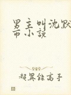 男主叫沈默的都市小说封面