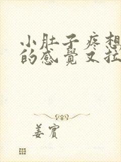 小肚子疼想大便的感觉又拉不出来封面