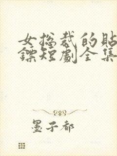 女总裁的贴身保镖短剧全集封面