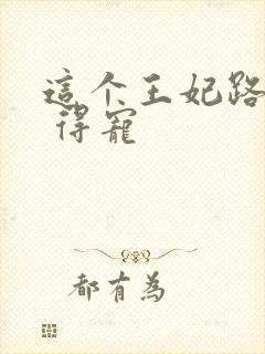 这个王妃路子野 得宠