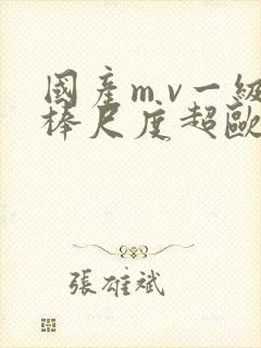 国产m v一级棒尺度超欧美