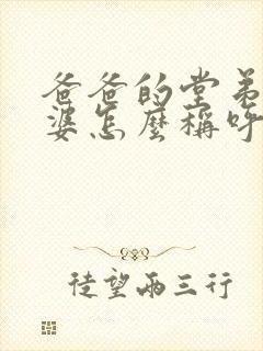 爸爸的堂弟的老婆怎么称呼封面