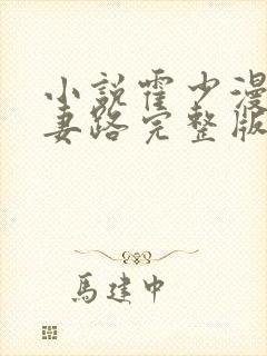 小说霍少漫漫追妻路完整版