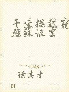 千亿总裁宠妻上瘾苏流云封面