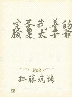 完蛋我养的小白脸是太子爷