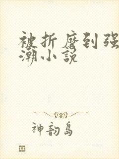 被折磨到强制高潮小说