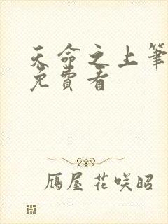 天命之上笔趣阁免费看