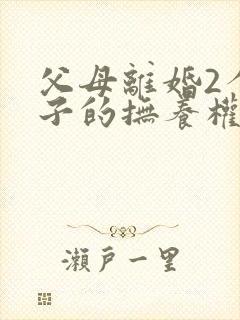 父母离婚2个孩子的抚养权怎么判定