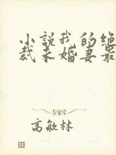 小说我的绝色总裁未婚妻最新章节