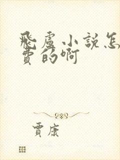 飞卢小说怎么收费的啊封面