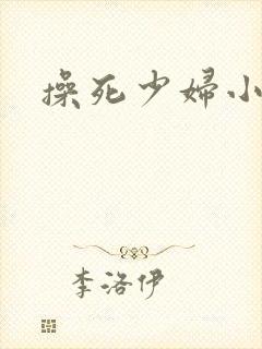 操死少妇小说封面