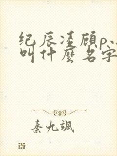 纪辰凌顾p小说叫什么名字封面
