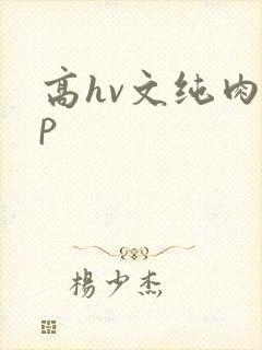高hv文纯肉np