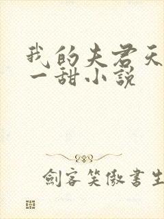 我的夫君天下第一甜小说