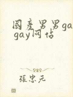国产男男gay gay网站