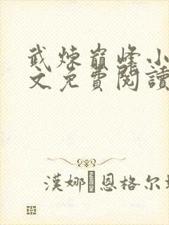 武炼巅峰小说全文免费阅读无弹窗封面