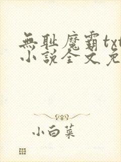 无耻魔霸txt小说全文免费阅读