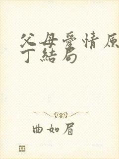 父母爱情原著老丁结局