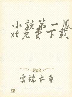 小说第一凤女txt免费下载