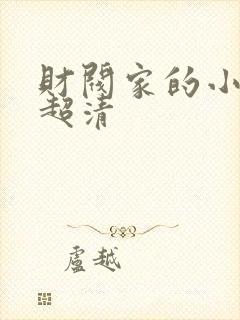 财阀家的小儿子超清