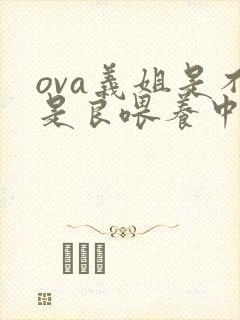 ova义姐是不是良喂养中